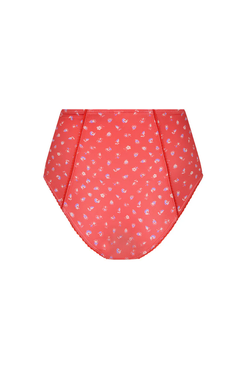Sunshine Bandit High Waisted Brief